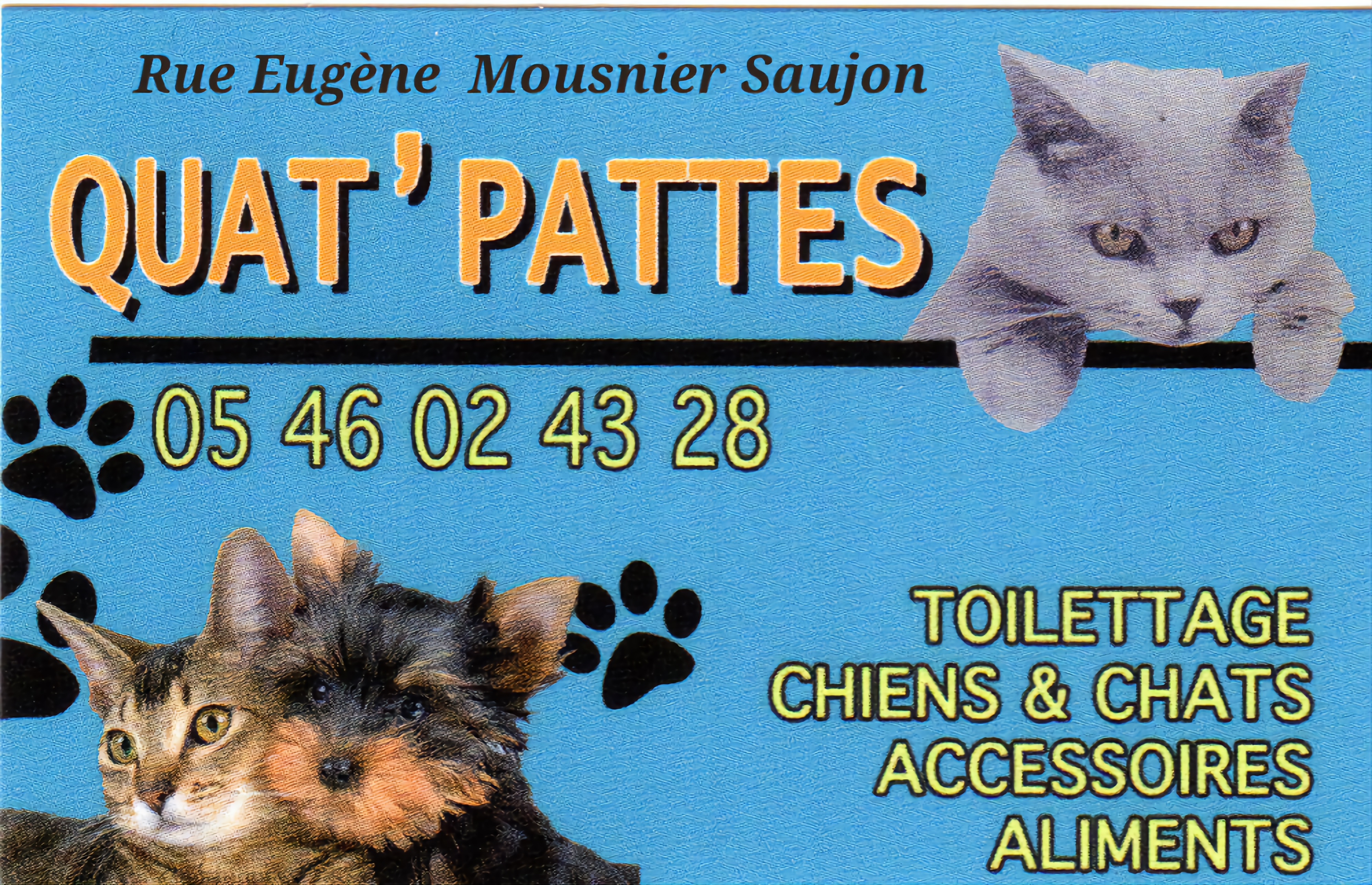 Quat'Pattes